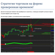 Стратегия форекс проверенная временем